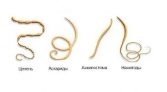 Cored worms: kako zdraviti